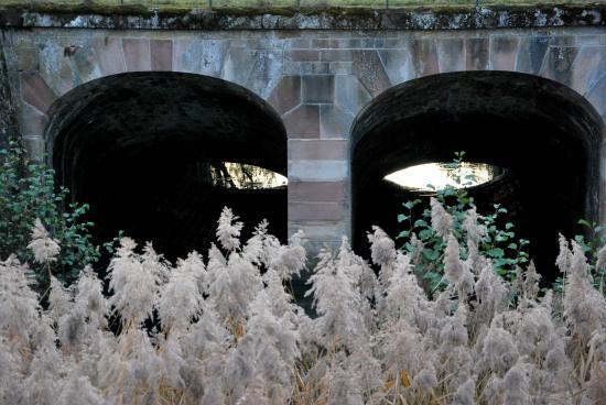 Passages sous un pont dans le territoire de Belfort (90)