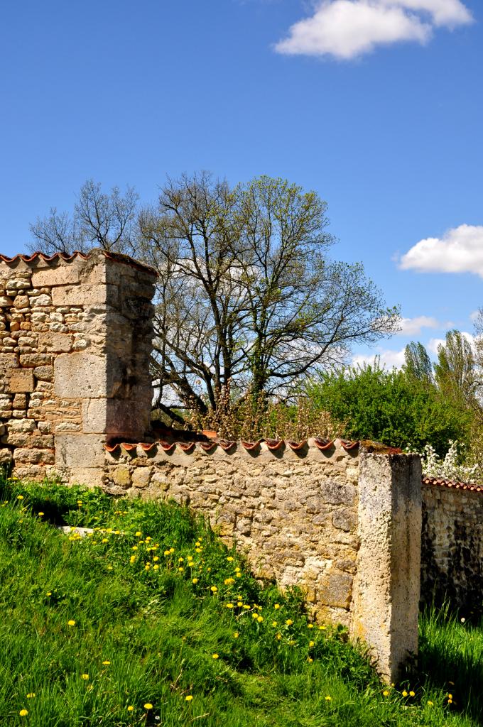 Paysage charentais - Avril 2013