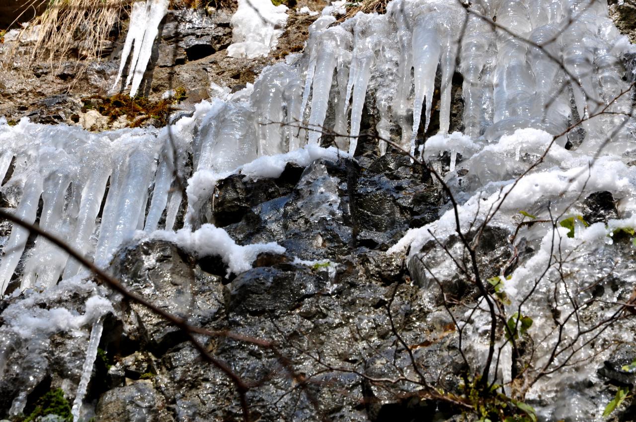 Quand la nature se fige - Mathay - Doubs - Février 2013