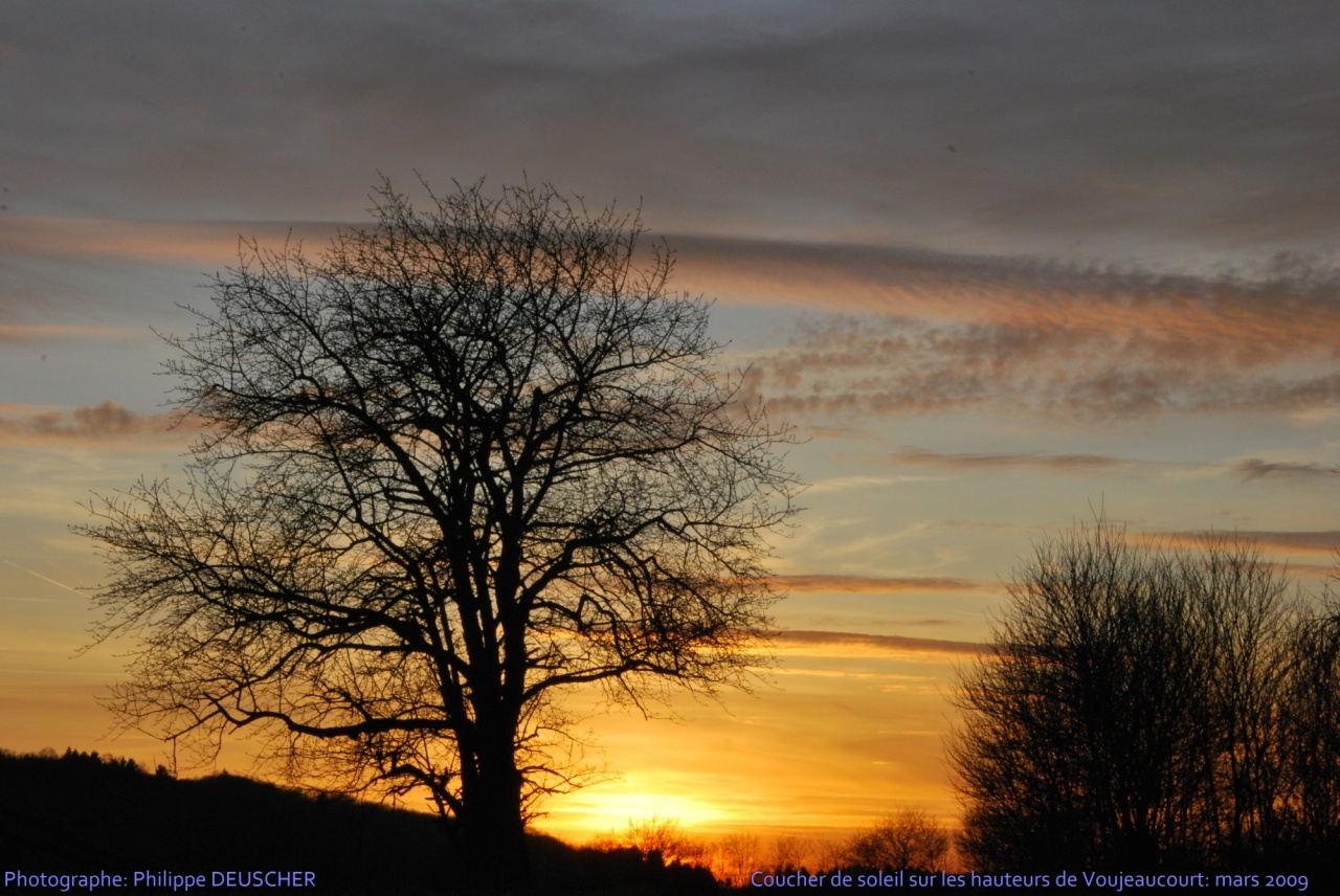 Coucher de soleil à Voujeaucourt - Doubs - Mars 2009