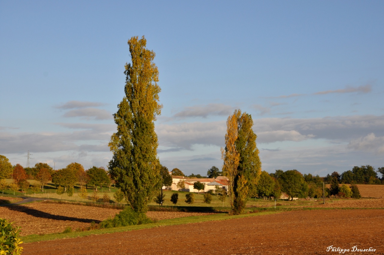 Paysage en Charente au sud d'Angoulême - Octobre 2010