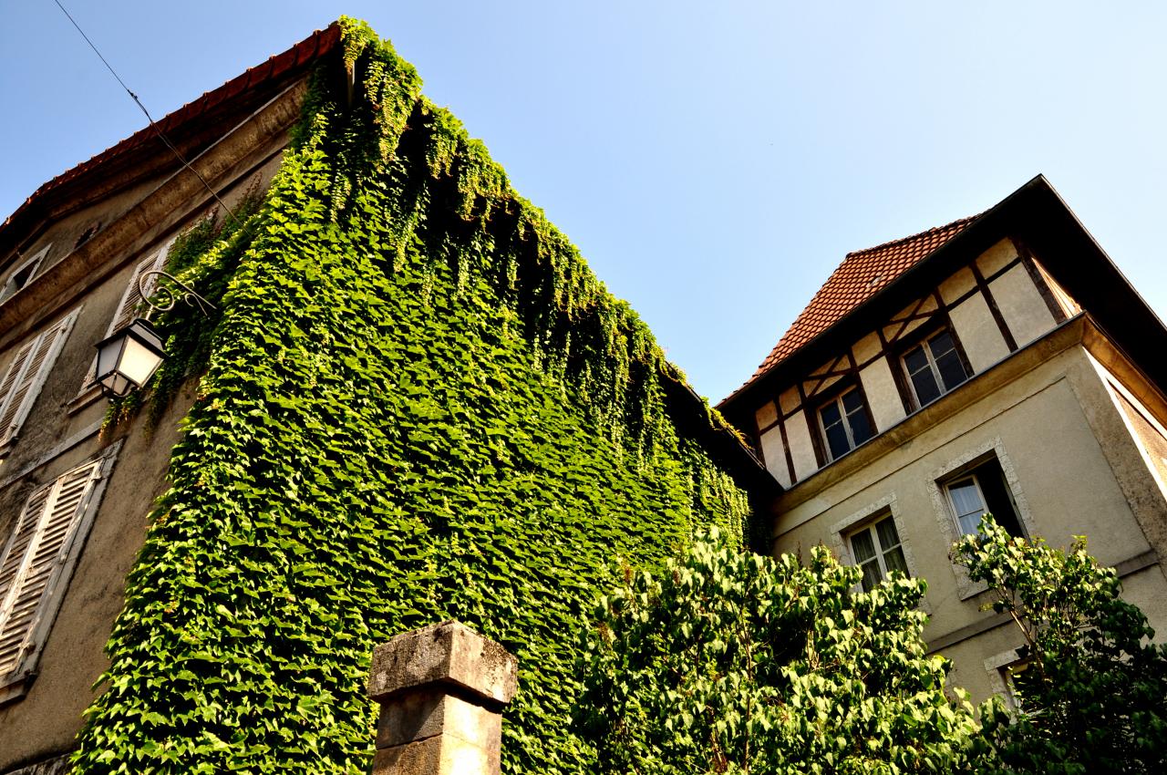 Centre ville de Saint Hippolyte - Doubs - Juillet 2013