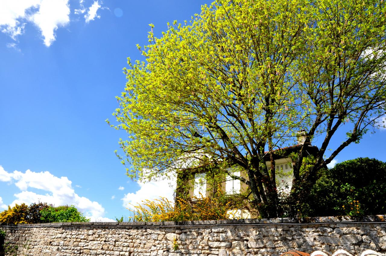 Village de Montignac - Charente - Avril 2013