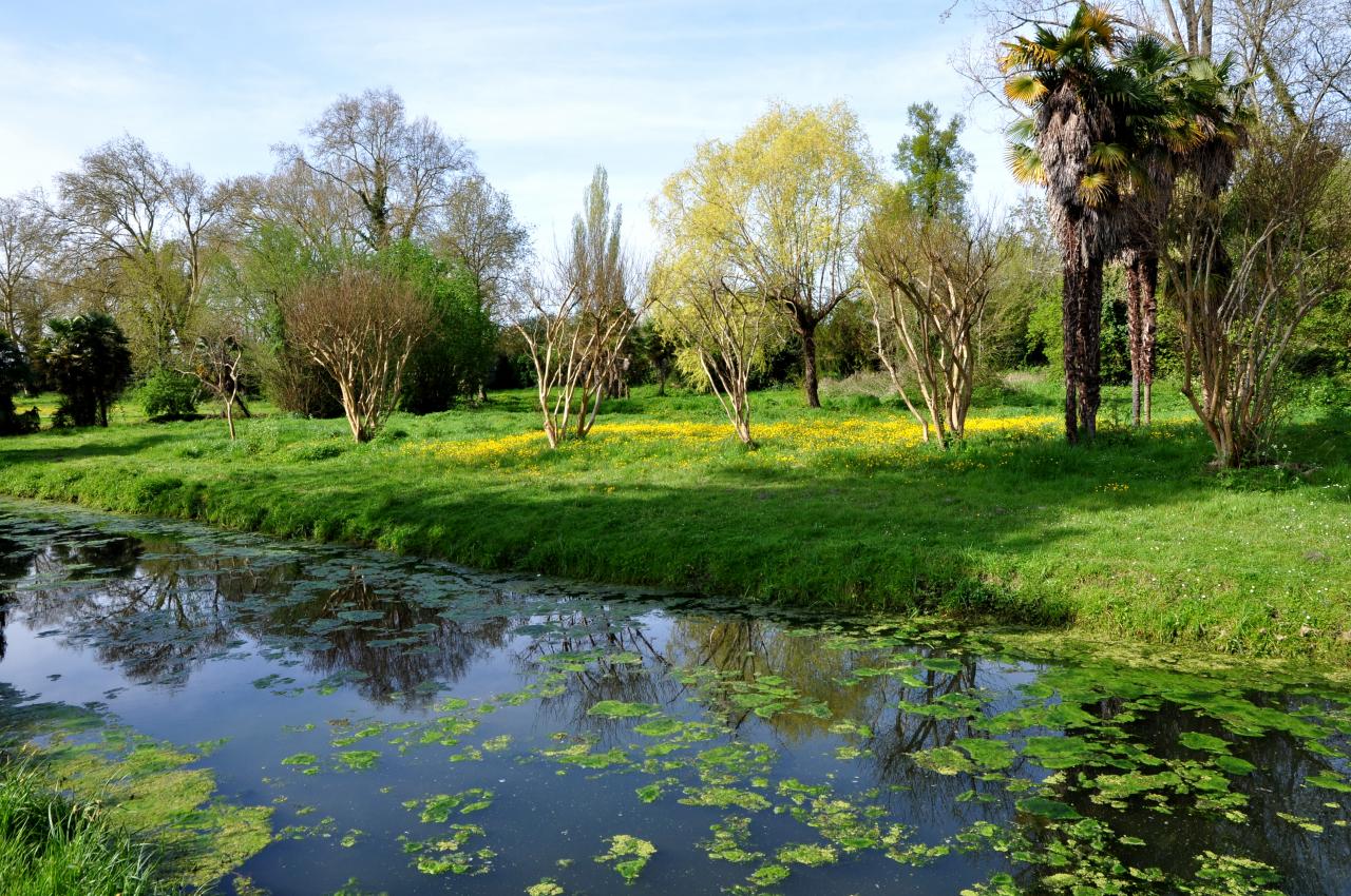 Alentours du château Lamarque - Gironde - Avril 2013