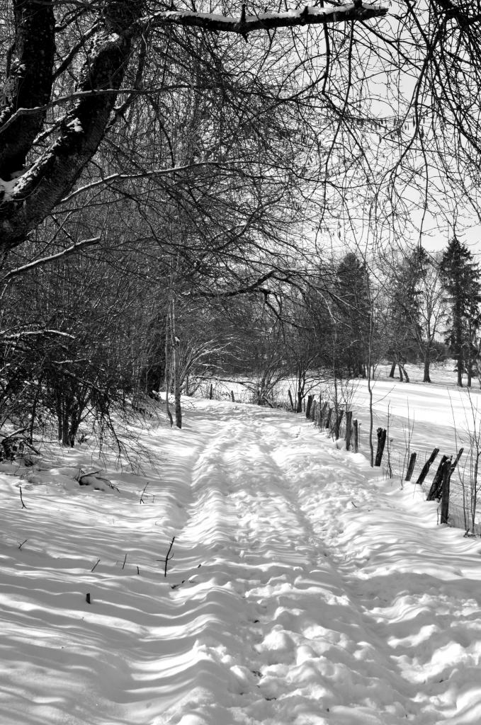 En arrivant au hameau de Lucelans - Doubs - Février 2013