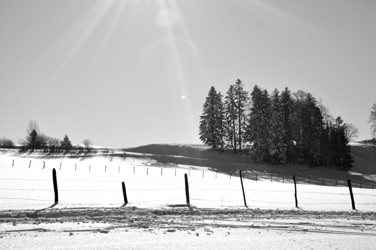 Nature en hiver à Charquemont - Doubs - Février 2013