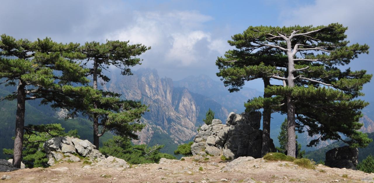 Col de Bavella - Alta Rocca - Corse du sud - Août 2014