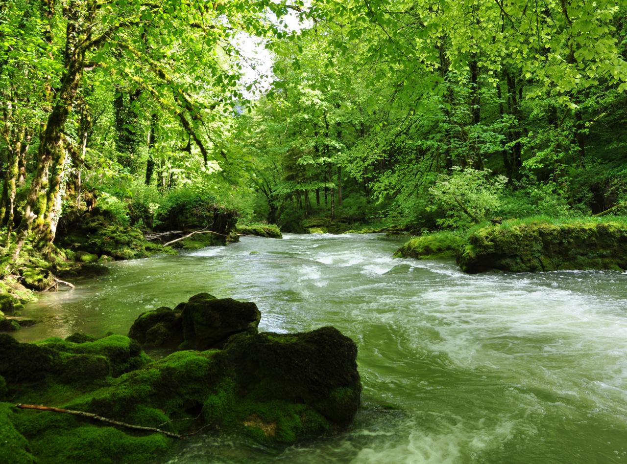 La haute vallée de la Loue - Doubs - Mai 2016