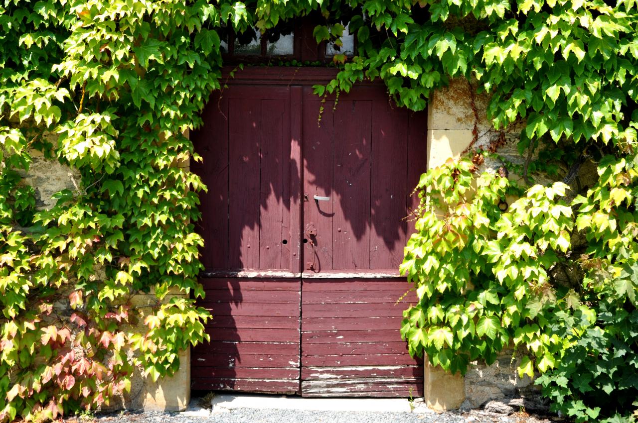 Domaine de l'Essendiéras - Dordogne - Juillet 2013