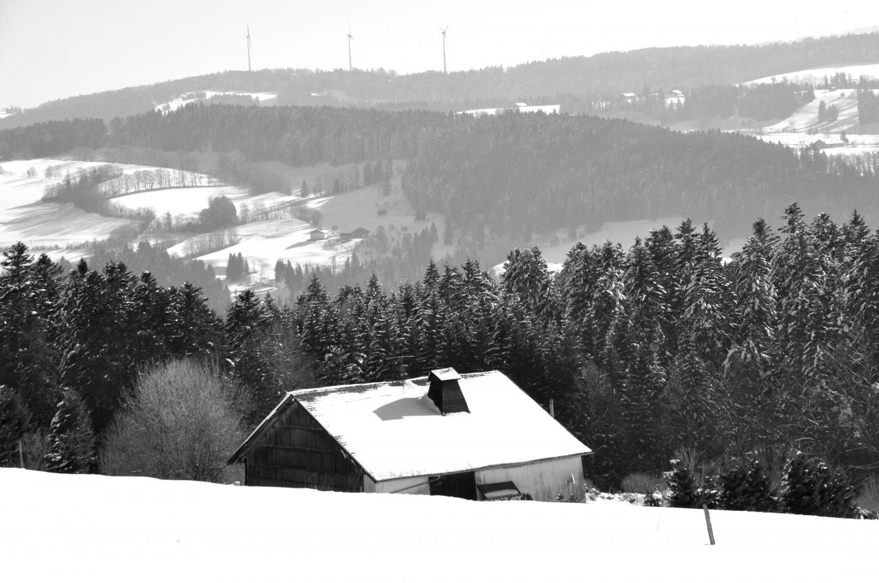 Paysage en hiver - Doubs - Février 2013