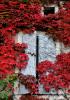 Ségonzac - Charente - Octobre 2013