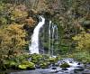 Cascades de Flumen - Jura - Octobre 2016