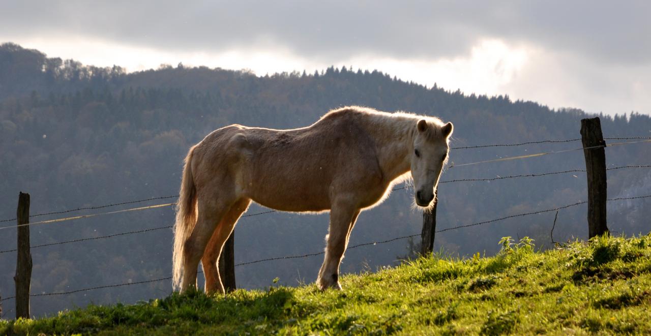 Soulce-Cernay - Doubs - Octobre 2014