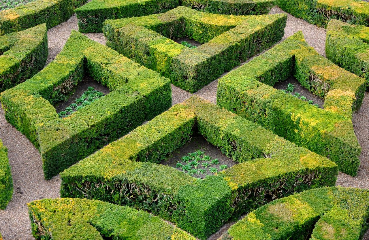 Jardins de Villandry - Indre-et-Loire - Février 2014