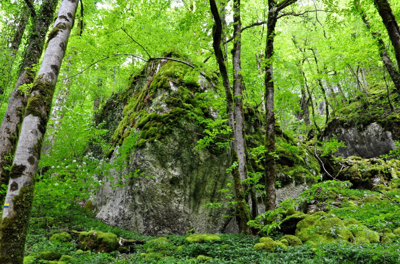 Haute vallée de la Loue - Doubs - Mai 2016