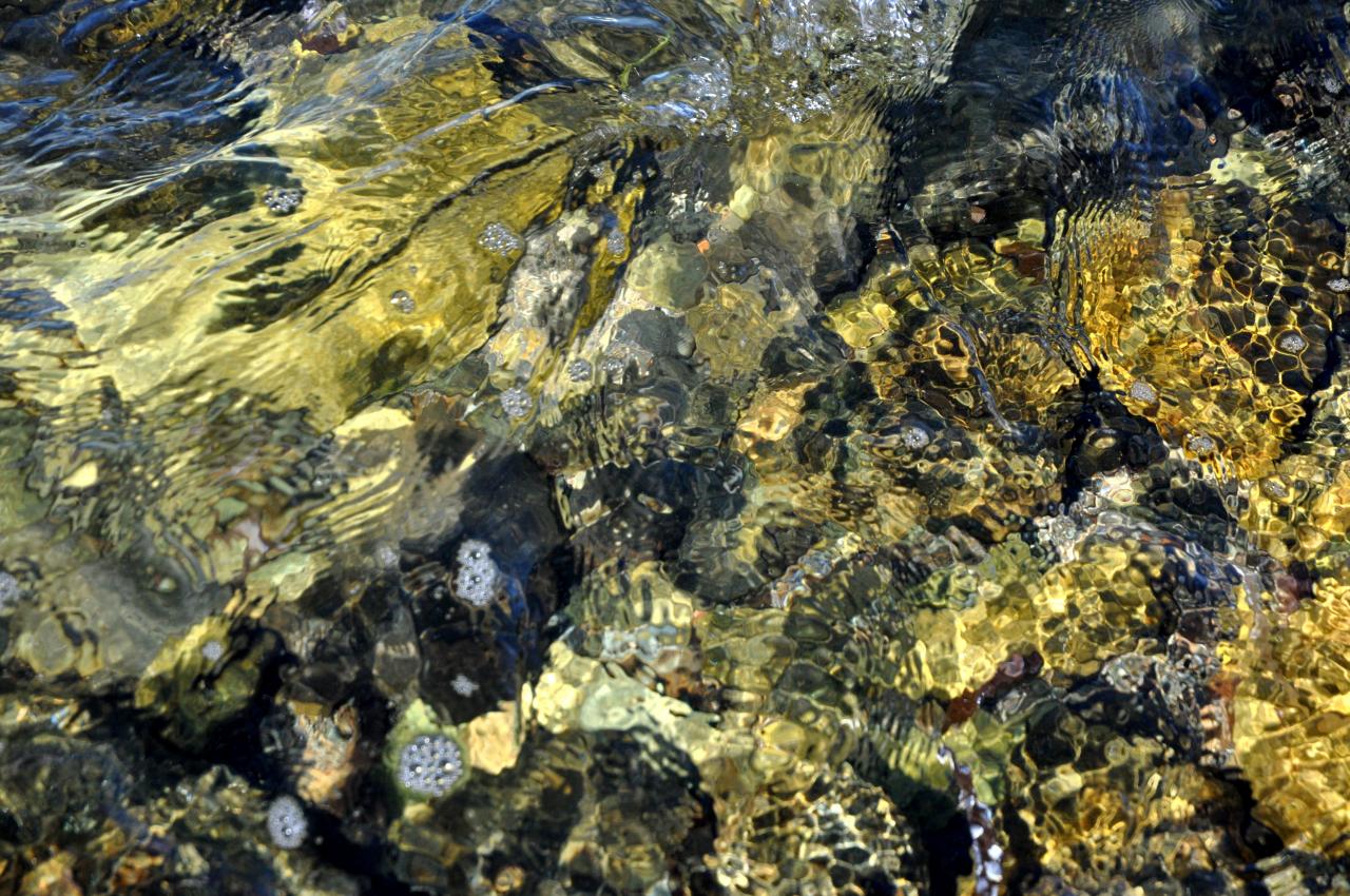 Reflets et couleurs d'eau - Haute Corse - Août 2013