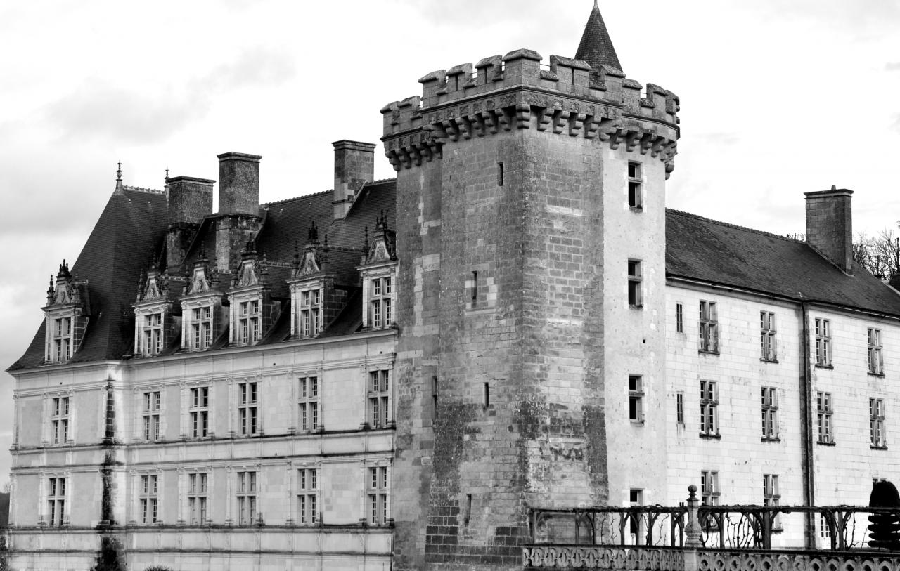 Château de Villandry - Indre-et-Loire - Février 2014