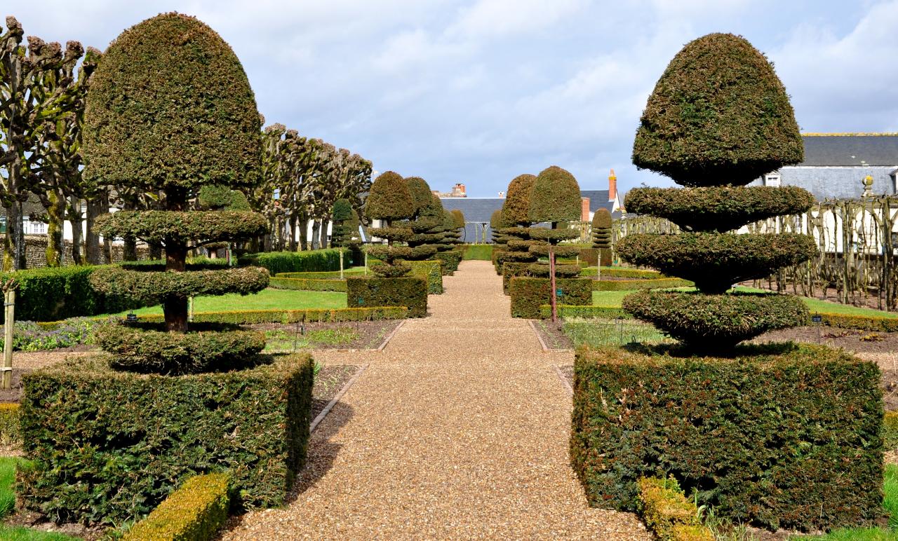 Jardins du château de Villandry - Indre-et-Loire - Février 2014