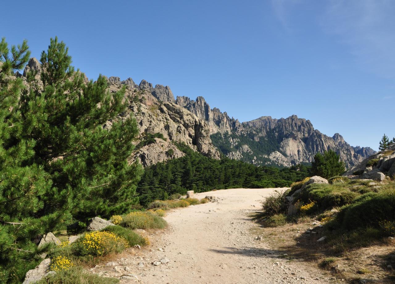 Col de Bavella - Alta Rocca - Corse du sud - Août 2014