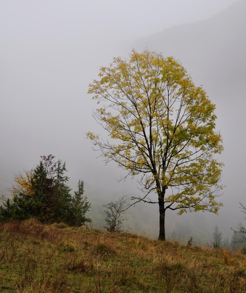 Haut-Jura - Octobre 2016