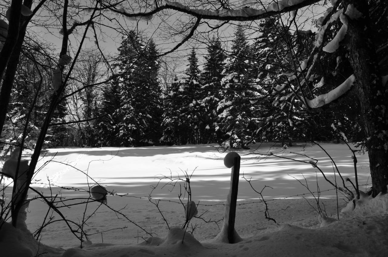 Paysage du plateau du Doubs - Février 2013