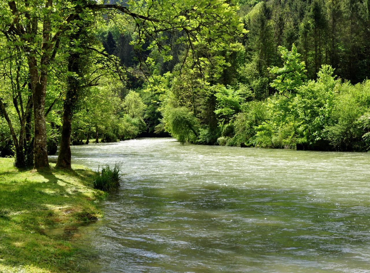 La Loue à Mouthier-Haute-Pierre - Doubs - Mai 2016