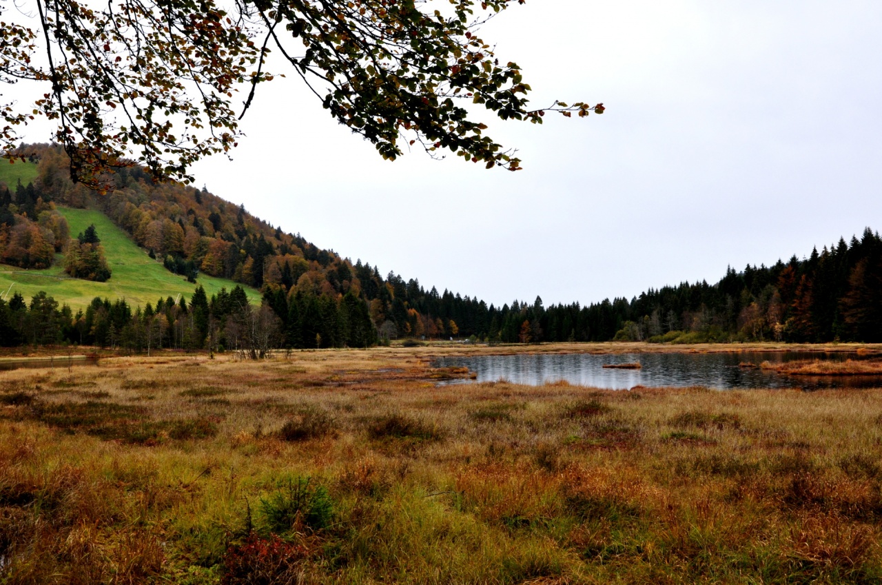 Lac de Lispach - Vosges - Octobre 2011