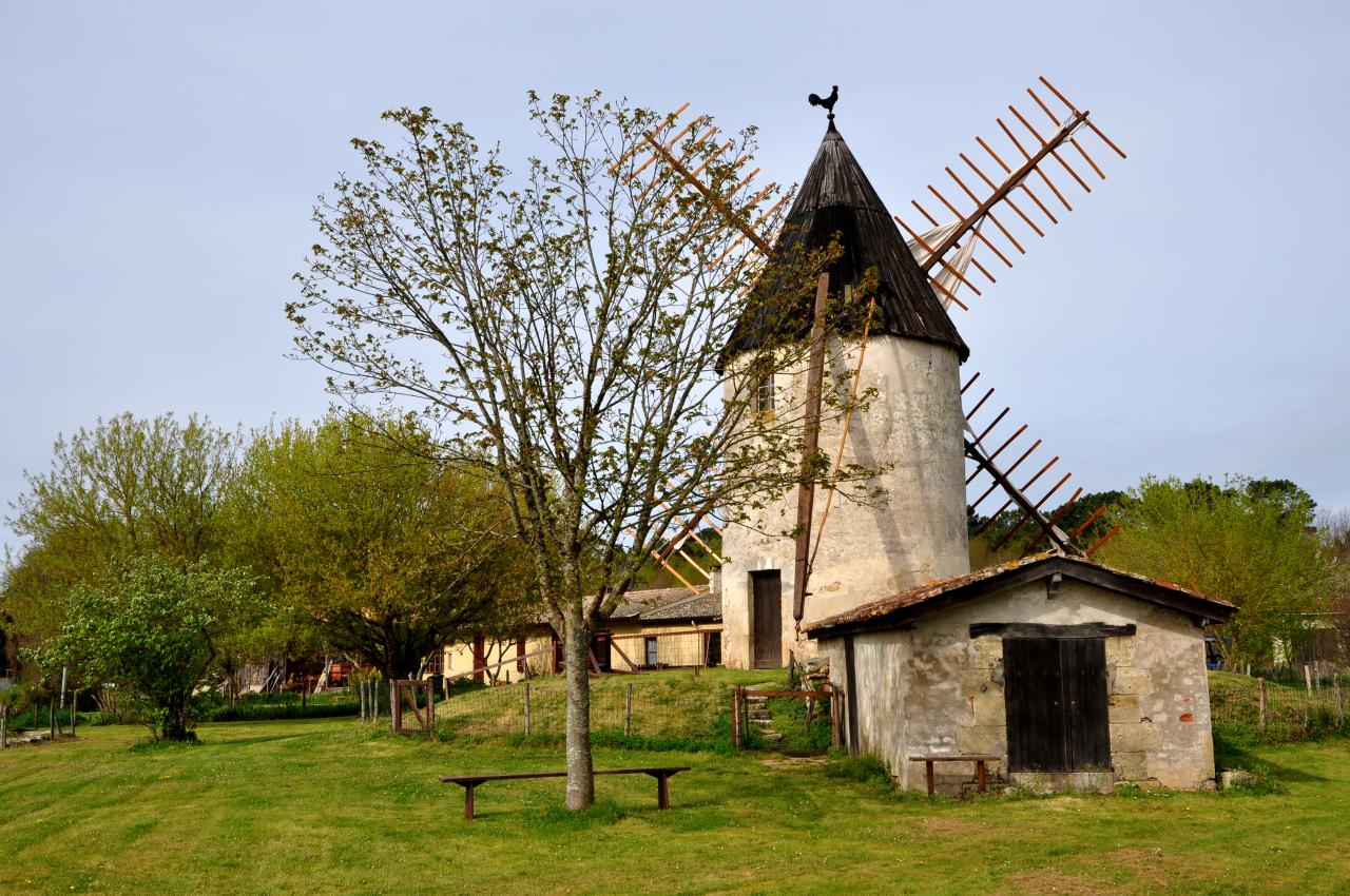 Moulin de Vensac - Gironde - Avril 2013