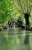 Marais poitevin à Maillezais - Vendée - Octobre 2013