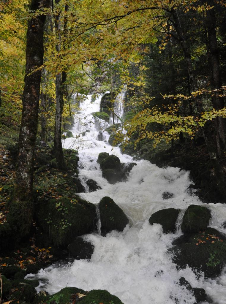 Cascade du moulin - Jura - Octobre 2016