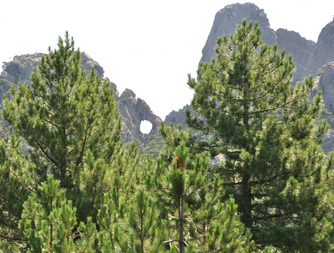 Randonnée du trou de la bombe - Alta Rocca - Corse du sud - Août 2014