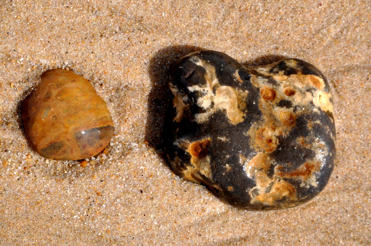 Plage de Soulac Sur Mer - Gironde - Avril 2013