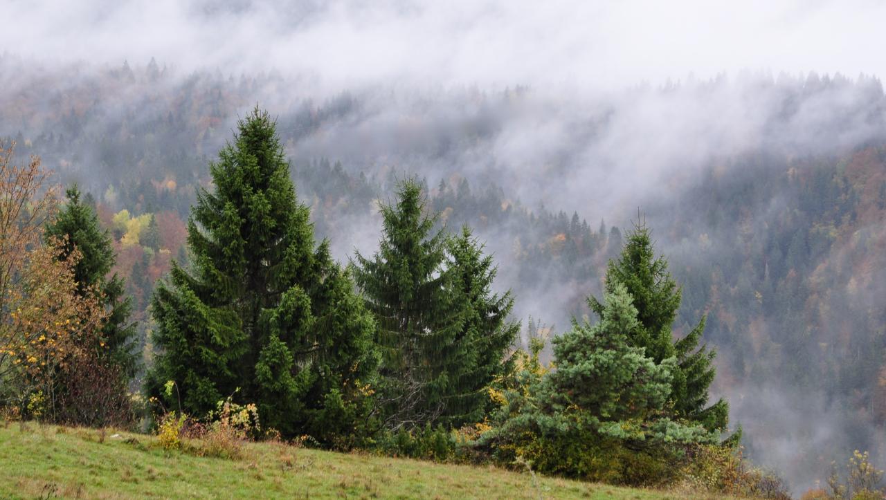 Cinquetral - Jura - Octobre 2016