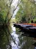 Marais poitevin à Maillezais - Vendée - Octobre 2013