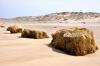 Plage de Soulac Sur Mer - Gironde - Avril 2013