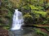 Cascade de Pissevieille - Jura - Octobre 2016