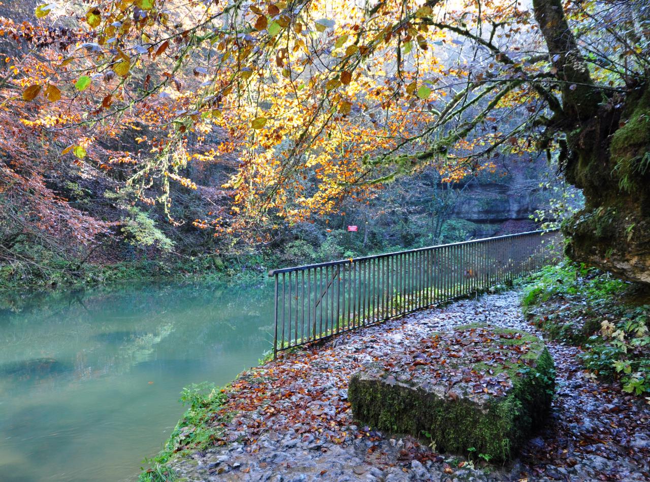 Source de l'Ain - Jura - Octobre 2016