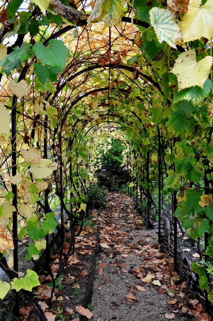 Jardin médiéval en Charente - Octobre 2013