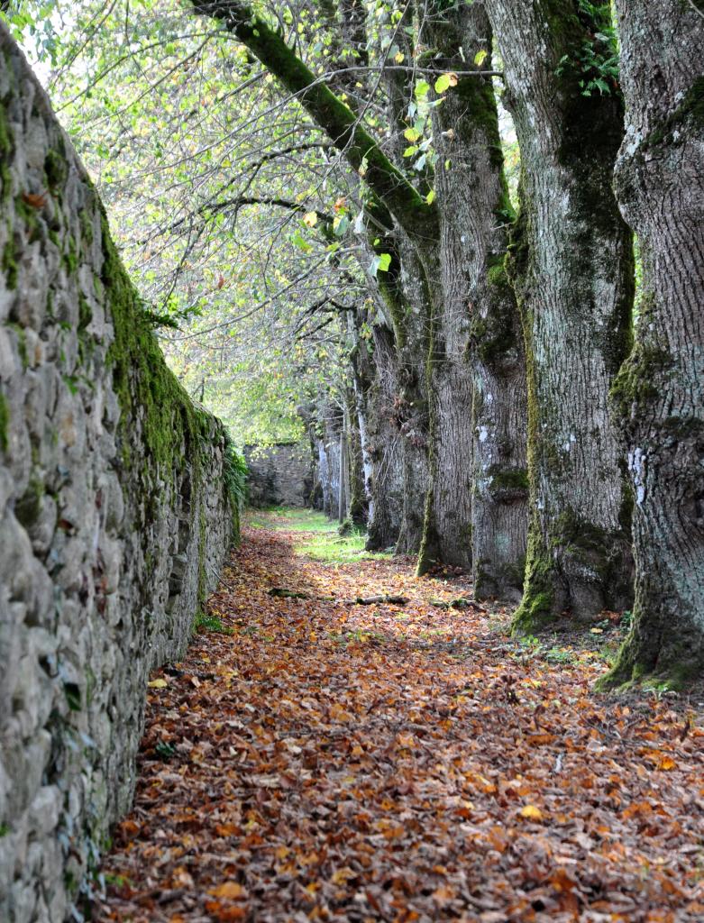 Automne en Dordogne - Octobre 2013