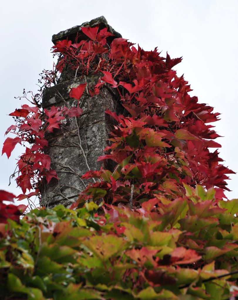 Village de Bourdeilles - Dordogne - Octobre 2013