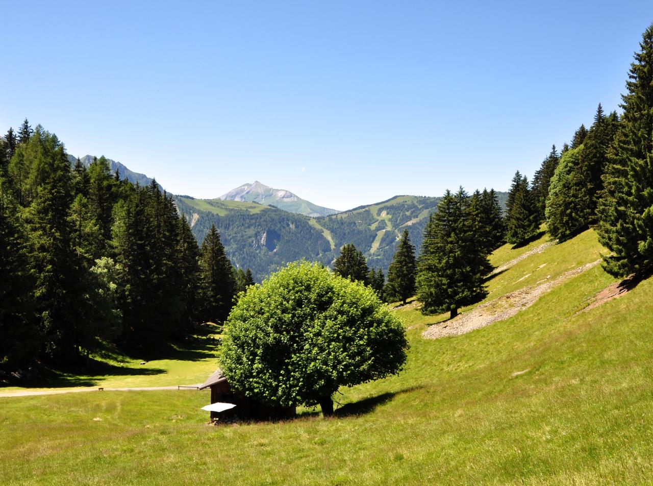 Parc de Merlet - Haute-Savoie - Juillet 2016