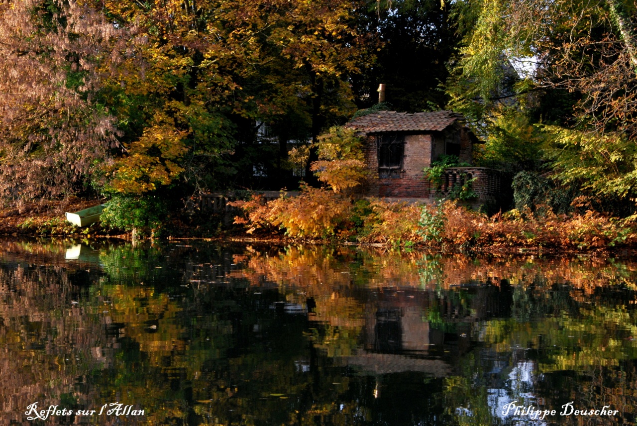 Reflets sur l'Allan à Montbéliard - Doubs - Octobre 2009