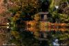 Reflets sur l'Allan à Montbéliard - Doubs - Octobre 2009